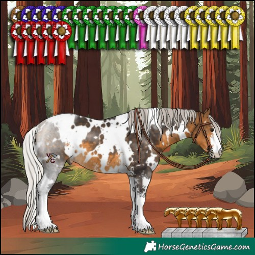 Horse Color:White Spotted Silver Buckskin Sabino 