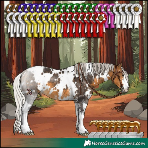 Horse Color:White Spotted Silver Buckskin Sabino