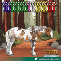 Horse Color:White Spotted Silver Buckskin Sabino 