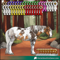 Horse Color:White Spotted Silver Buckskin Sabino 