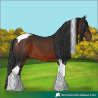 Horse Color:Brown Tobiano