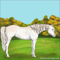Horse Color:Perlino Splash and Perlino Splash