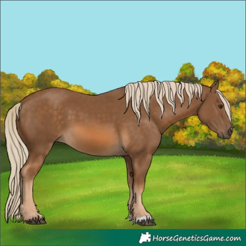 Horse Color:Chocolate Palomino 