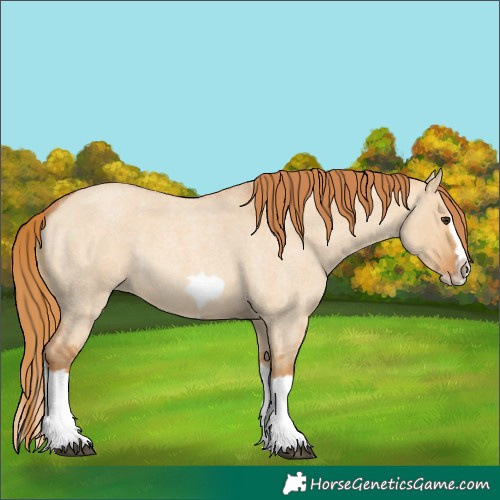 Horse Color:Red Dun Roan Splash Frame Rabicano