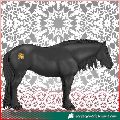 Horse Color:Black 