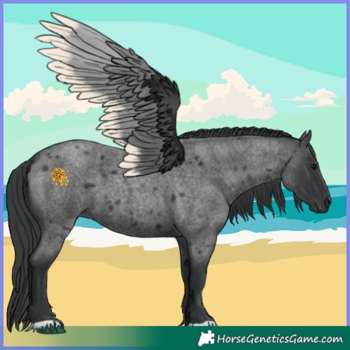 Horse Color:Blue Roan 