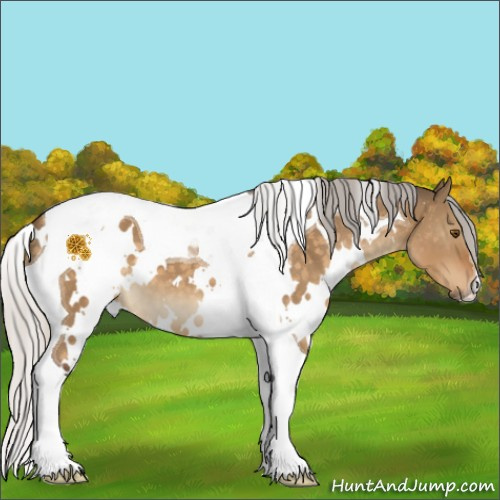 Horse Color:White Spotted Silver Buckskin Dun Mushroom Tobiano 