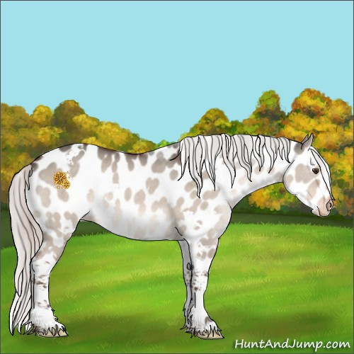 Horse Color:White Spotted Silver Bay Dun Mushroom Tobiano Appaloosa 