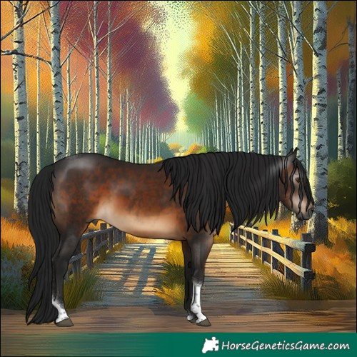 Horse Color:Gray Brown Tobiano Rabicano
