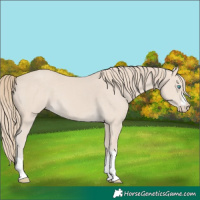 Horse Color:Smoky Creme 