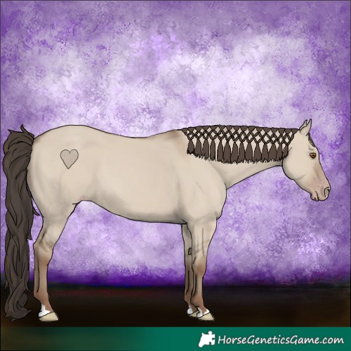 Horse Color:Classic Champagne Dun