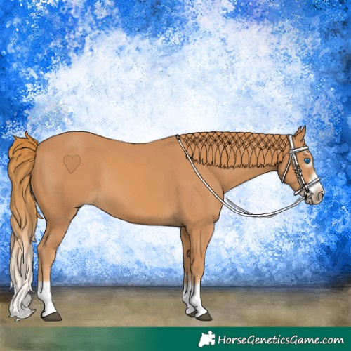 Horse Color:Chestnut Splash Frame 