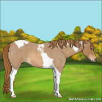 Horse Color:Red Roan Tobiano 