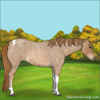 Horse Color:Red Roan Tobiano 