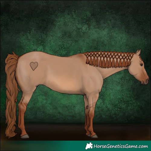 Horse Color:Red Dun Rabicano 