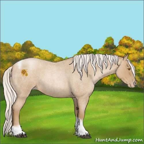 Horse Color:Silver Blue Roan Pearl Tobiano Frame 