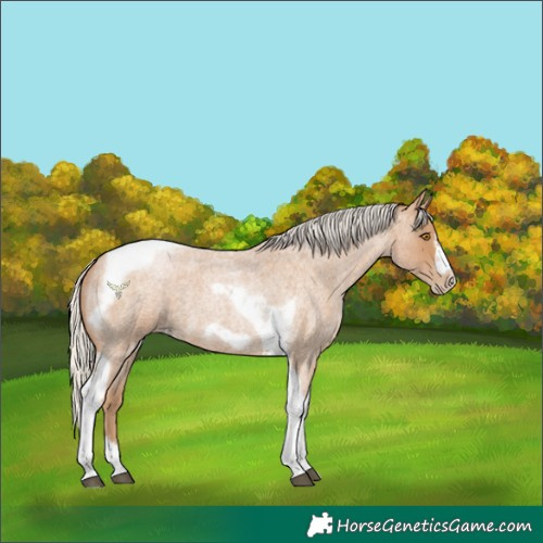 Horse Color:Silver Blue Roan Pearl Tobiano Frame 