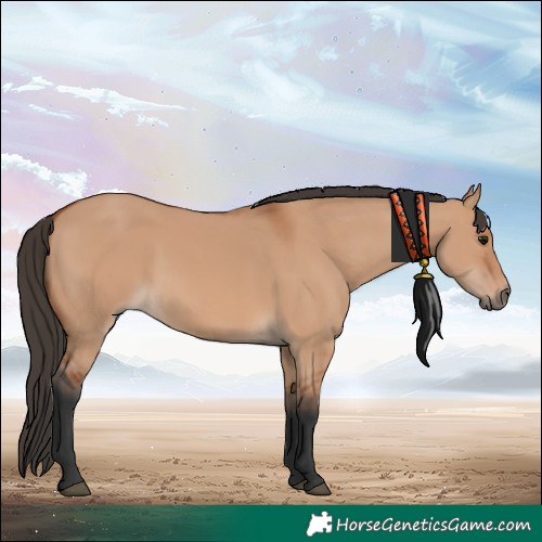 Horse Color:Bay Dun 