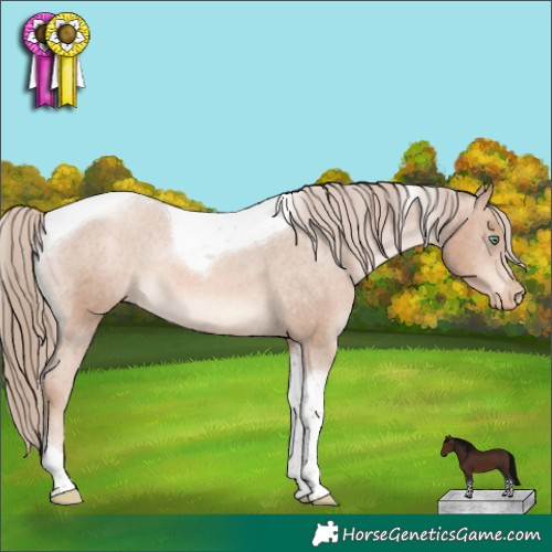 Horse Color:Liver Chestnut Pearl Tobiano Varnish 