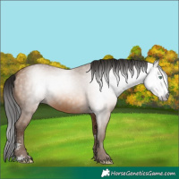 Horse Color:Gray Amber Champagne Sabino