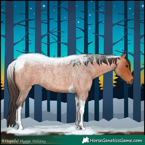 Horse Color:Bay Roan Tobiano Rabicano