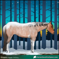 Horse Color:Bay Roan Tobiano Rabicano