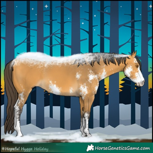 Horse Color:Buckskin Sabino