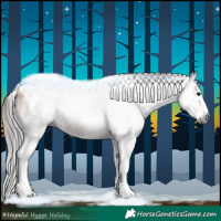 Horse Color:Gray White Spotted Bay Splash Tobiano 