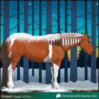 Horse Color:Bay Tobiano 