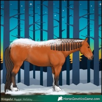 Horse Color:Bay Tobiano 