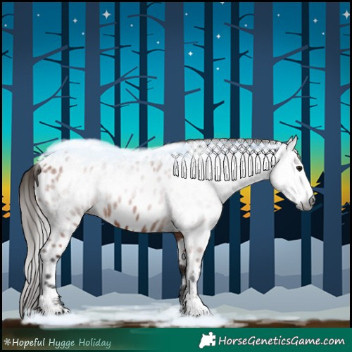 Horse Color:Gray Bay Sabino Appaloosa