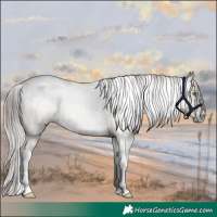 Horse Color:Gray White Spotted Brown Pearl Tobiano 