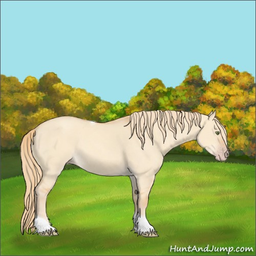Horse Color:Gold Champagne Dun Tobiano