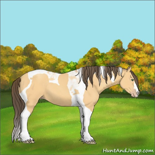 Horse Color:Amber Cream Champagne Tobiano 