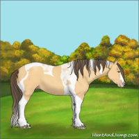 Horse Color:Amber Cream Champagne Tobiano