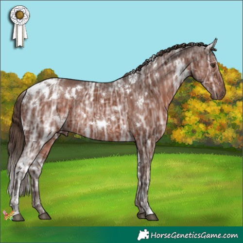Horse Color:White Spotted Liver Chestnut Ice Rabicano 