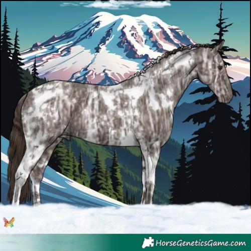 Horse Color:White Spotted Liver Chestnut Ice Tobiano 