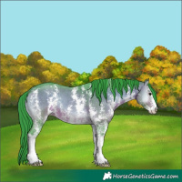 Horse Color:Watercolor Bay Onyx Sabino 