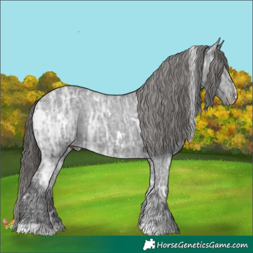 Horse Color:White Spotted Black Ice Appaloosa Rabicano 