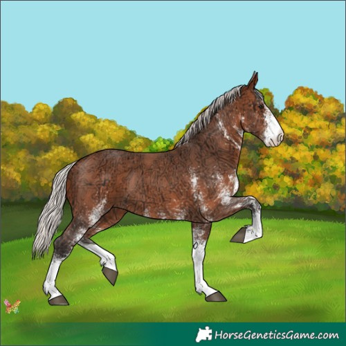 Horse Color:White Spotted Silver Brown Ice 