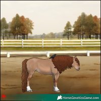 Horse Color:Red Dun 