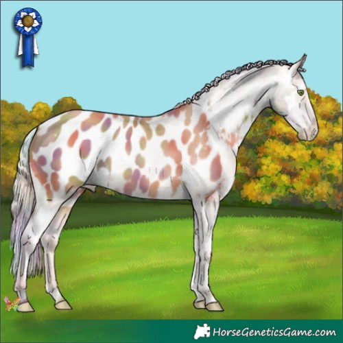 Horse Color:Nacre White Spotted Silver Sable Champagne Appaloosa 