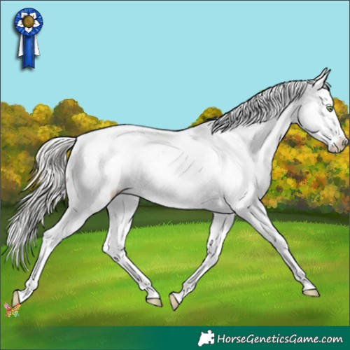 Horse Color:White Spotted Silver Amber Champagne Ice Appaloosa 