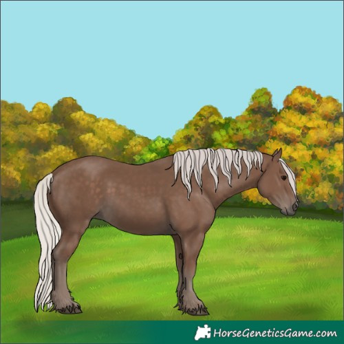 Horse Color:Silver Black 