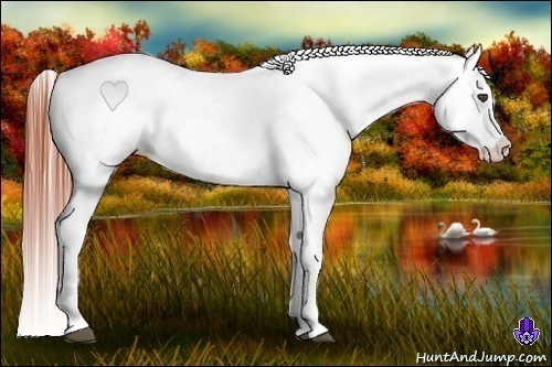 Horse Color:Brown Splash Appaloosa 