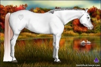 Horse Color:Brown Splash Near Leopard