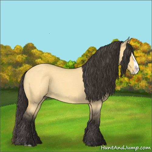 Horse Color:Unknown 