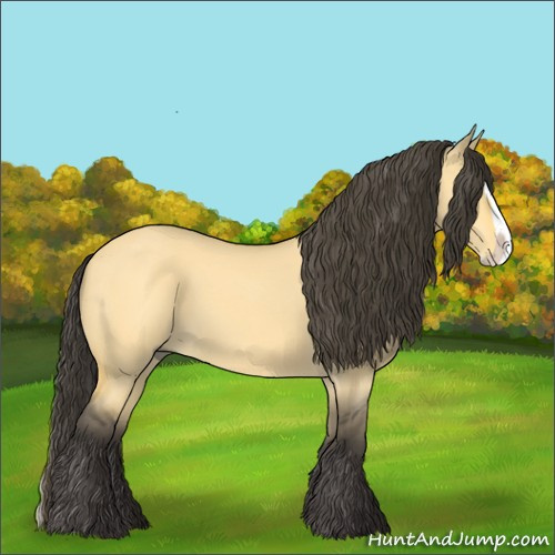 Horse Color:Unknown 