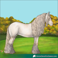 Horse Color:Gold Champagne Pearl Dun Rabicano and Gold Champagne Pearl Dun Rabicano