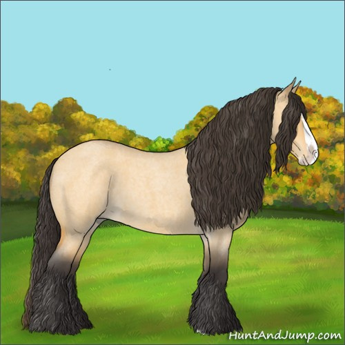 Horse Color:Unknown 